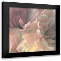 Pollard, David 12x12 Black Modern Framed Museum Art Print Titled - Chrysanthemum I