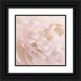 thumbnail image 1 of Pollard, David 12x12 Black Ornate Wood Framed with Double Matting Museum Art Print Titled - Peony Peaches and Cream I, 1 of 4
