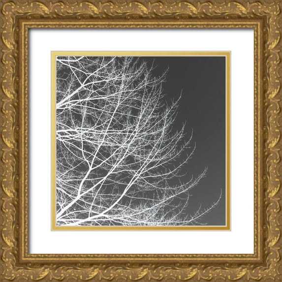 Pollard, David 12x12 Gold Ornate Wood Framed with Double Matting Museum Art Print Titled - Tree Silhouette III White on Gray