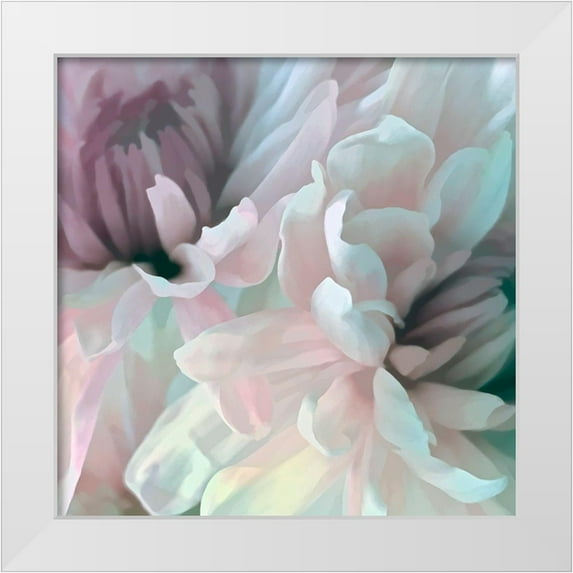 Pollard, David 12x12 White Modern Wood Framed Museum Art Print Titled - Chrysanthemum XI