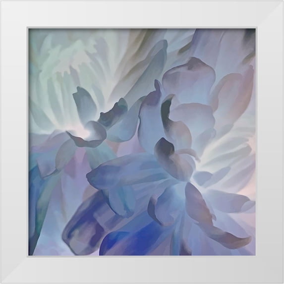 Pollard, David 15x15 White Modern Wood Framed Museum Art Print Titled - Chrysanthemum V