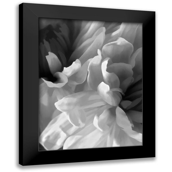 Pollard, David 15x18 Black Modern Framed Museum Art Print Titled - Chrysanthemum XVIII