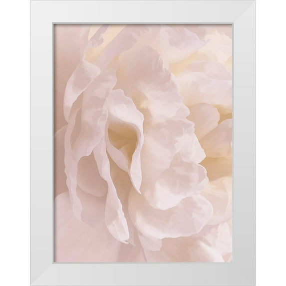 Pollard, David 15x18 White Modern Wood Framed Museum Art Print Titled - Peony Peaches and Cream II