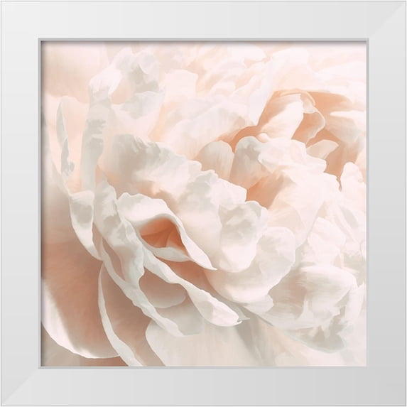 Pollard, David 20x20 White Modern Wood Framed Museum Art Print Titled - Peony Pale Sepia I