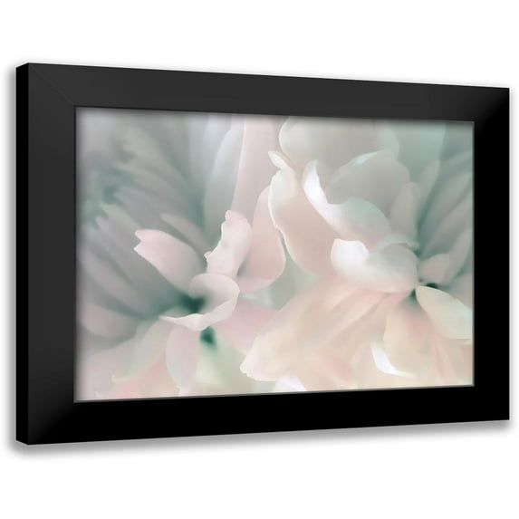 Pollard, David 24x19 Black Modern Framed Museum Art Print Titled - Chrysanthemum Pink and Cyan III