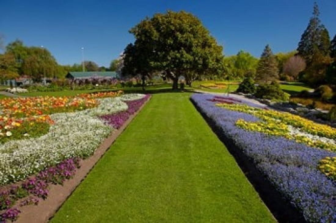 Pollard Park Blenheim Marlborough New Zealand Canvas Art - David Wall DanitaDelimont (36 x 24)