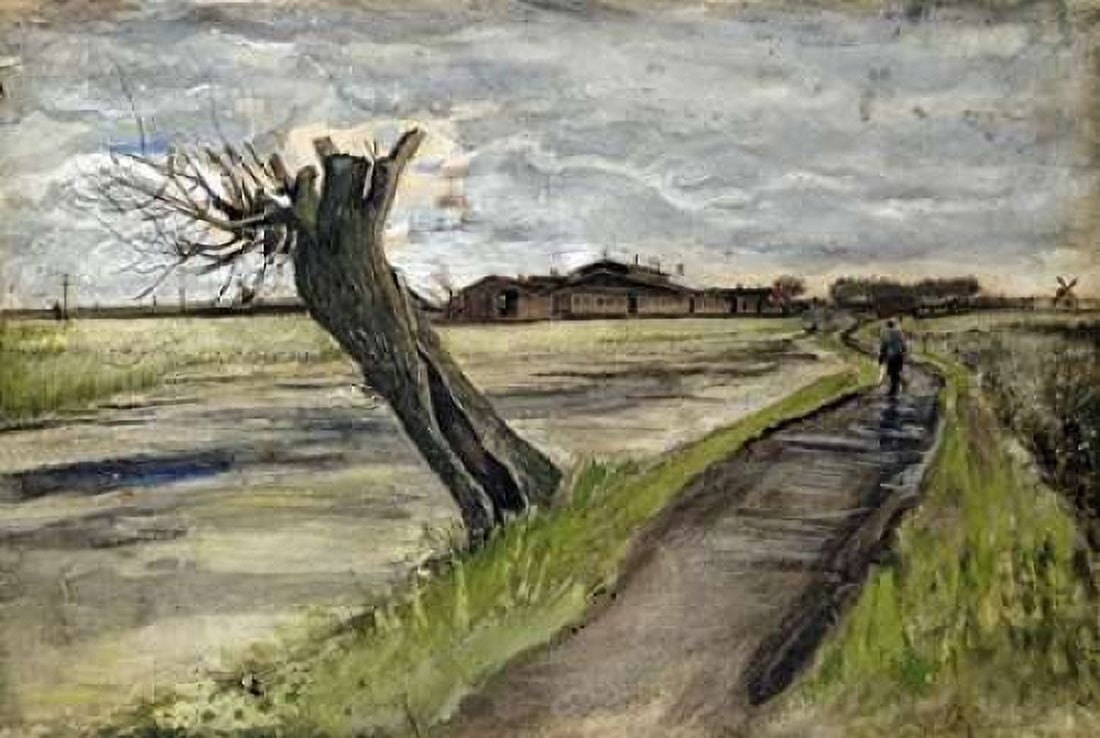 Pollard Willow Canvas Art - Vincent Van Gogh (24 x 36)