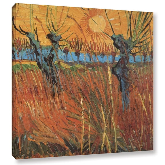Pollard Willows with Setting Sun (Willows at Sunset) Gallery Wrapped Canvas