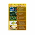 thumbnail image 1 of Pollen Chart Knowledge Poster (2) Canvas Painting Wall Art Poster for Bedroom Living Room Decor, 1 of 4