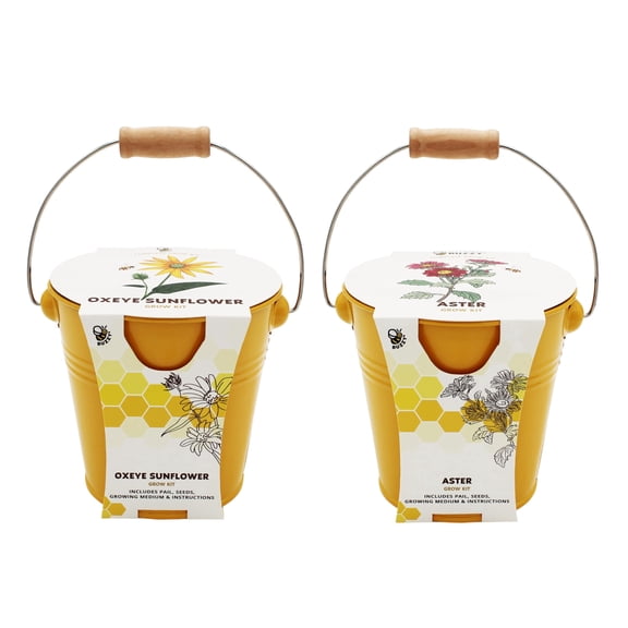 Pollinator Grow Kit 2-Pack  Aster & Sunflower Seeds in Yellow Pails with wood handles