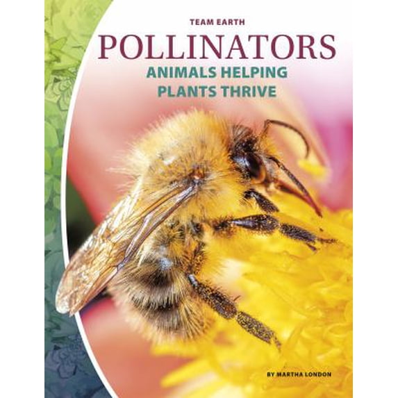 Pre-Owned Pollinators (Team Earth) Paperback