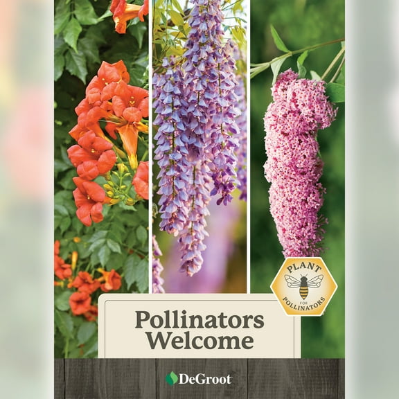 Pollinators Welcome