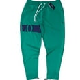 thumbnail image 1 of Polo Ralph Lauren Men's Big & Tall Green Double Knit Graphic Jogger Pants, XLT, 1 of 2