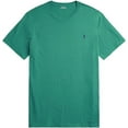 thumbnail image 1 of Polo Ralph Lauren Men's Standard Fit Crew Neck T-Shirt - Classic Cotton Tee with Iconic Pony Logo, Light Green Heather (Blue Pony), M, 1 of 1