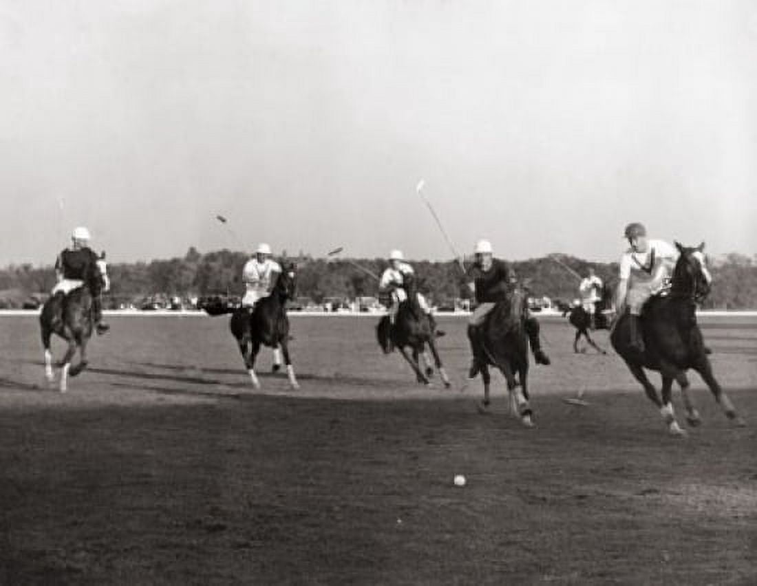 Polo players playing polo Canvas Art - (24 x 36)