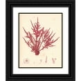 thumbnail image 1 of Poloson, Kimberly 12x14 Black Ornate Wood Framed with Double Matting Museum Art Print Titled - Red Botanical Study II, 1 of 4