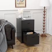 Polup 18"D Modern Office Locking File Cabinet 2 Drawer,Black Metal Vertical File Cabinet