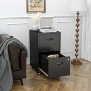 Polup 18"D Mobile Office Vertical 2 Drawer File Cabinet, Metal Filing Cabinet 2 Drawer with Lock