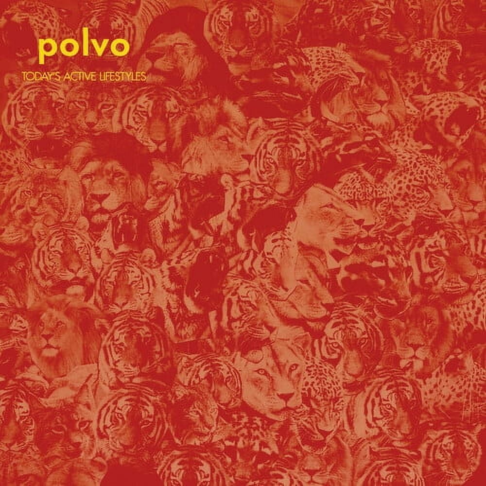 Polvo - Today's Active Lifestyles