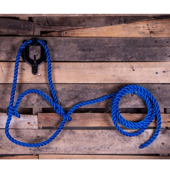 Poly Cow Halter Color: Blue