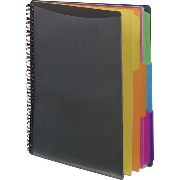 Poly Project Organizer 12 Letter-Size Sleeves, Gray with Bright Pockets