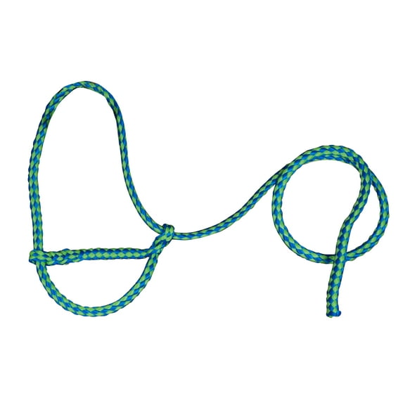 Poly Sheep Halter Color: Lime/Blue
