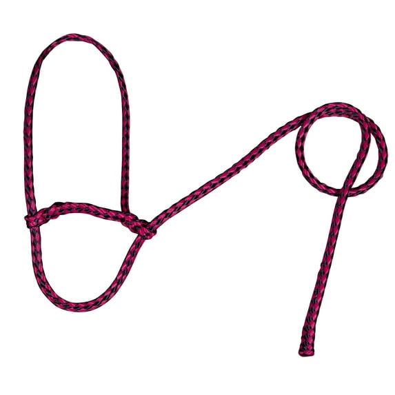 Poly Sheep Halter Color: Raspberry/Black