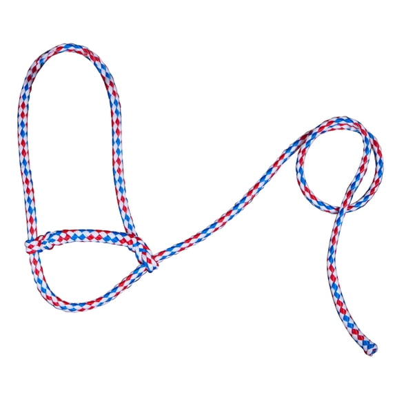 Poly Sheep Halter Color: Red/White/Blue
