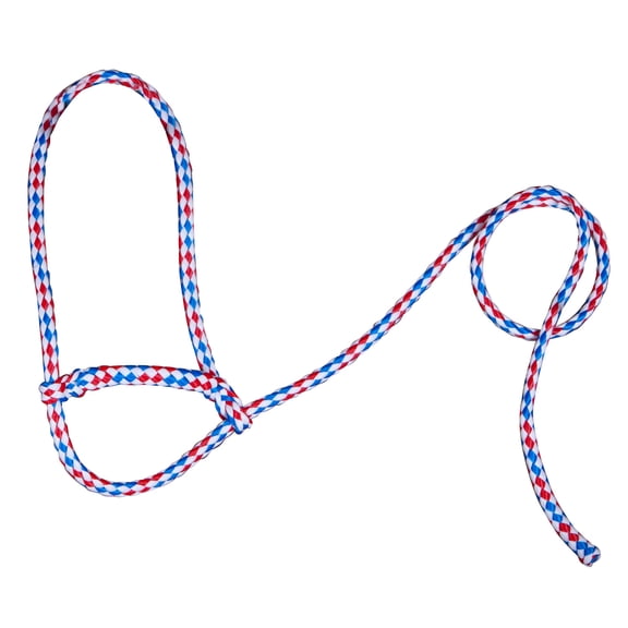 Poly Sheep Halter Color: Red/White/Blue