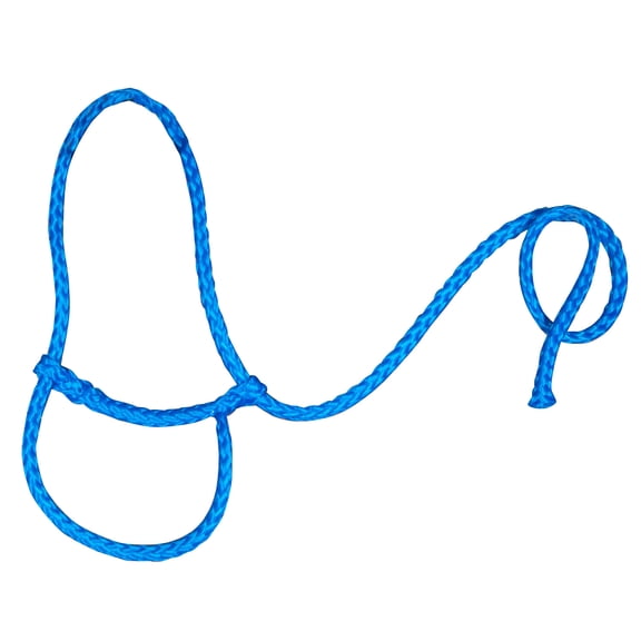 Poly Sheep Halter Color: Royal Blue