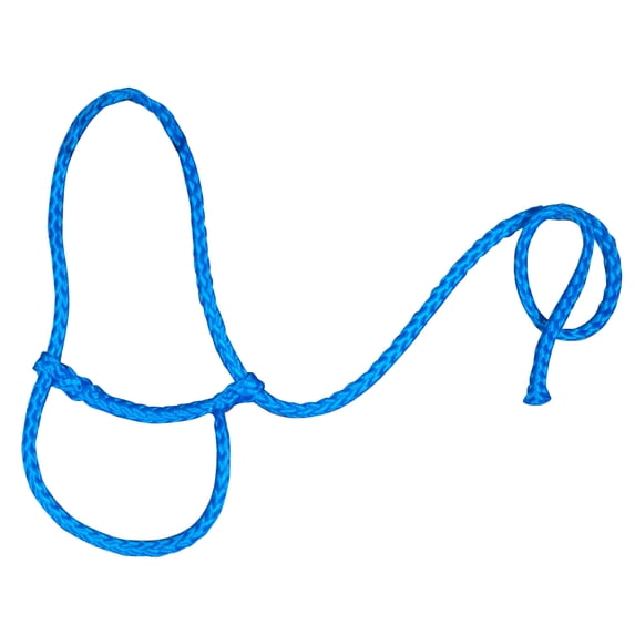 Poly Sheep Halter Color: Royal Blue