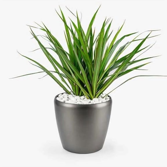 PolyPebbles Polished Composite Decorative Stones | Triple The Coverage of Natural Stone | 100% Recycled Materials + Nature Friendly | Won't Fade or Crack | Small (.5" - 1") Size |