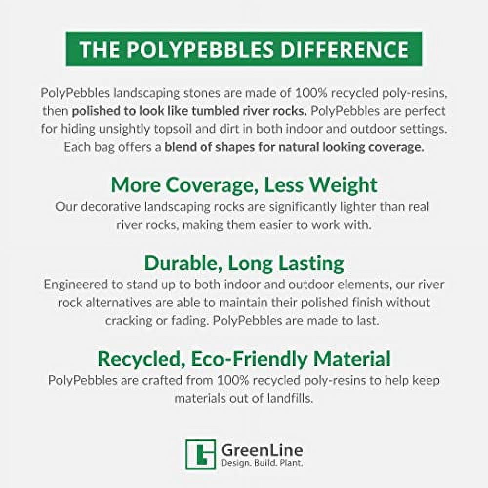 PolyPebbles Polished Decorative Rocks & Stones | Perfect for Pots ...