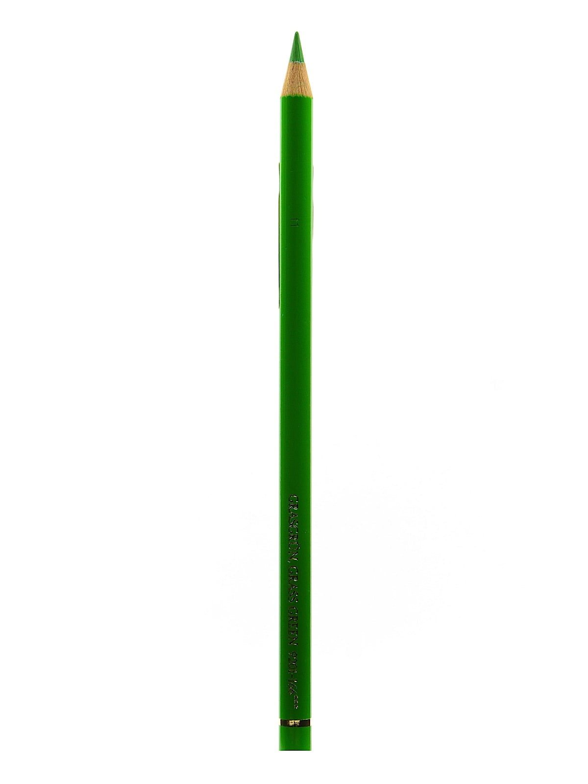 Polychromos Artist Colored Pencils (Each) grass green, 166 (pack of 12)
