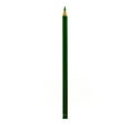 thumbnail image 1 of Polychromos Artist Colored Pencils (Each) leaf green, 112 (pack of 12), 1 of 1