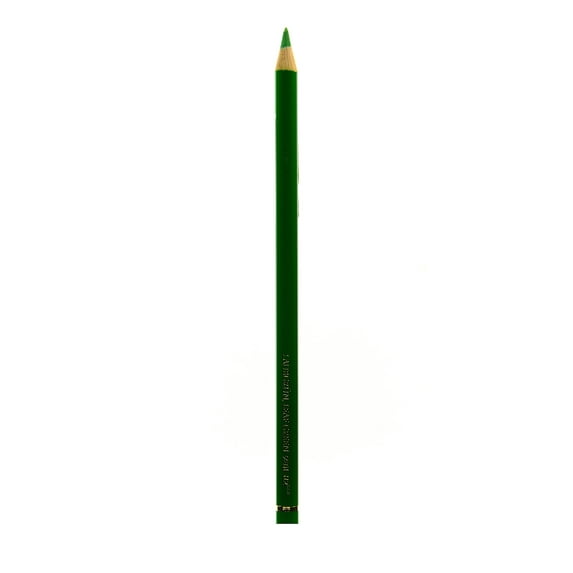 Polychromos Artist Colored Pencils (Each) leaf green, 112 (pack of 12)