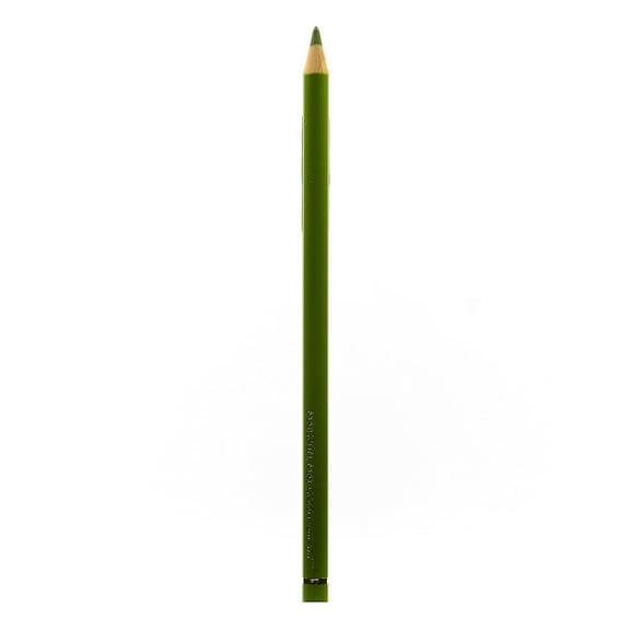 Polychromos Artist Colored Pencils (Each) may green, 170 (pack of 12)