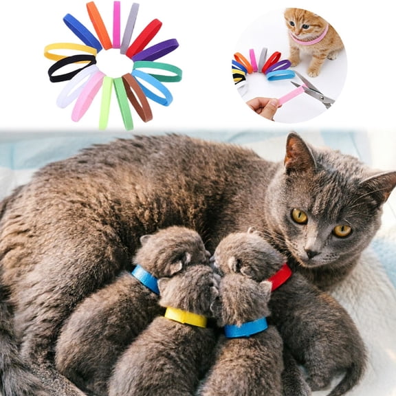 Polyester Adjustable Breakaway Collar for Newborn Puppies & Kittens Lightweight Reflective Soft Comfortable Gentle Fit Safety Buckle Design