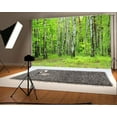 thumbnail image 1 of Polyester Fabric Birch Forest Backdrop 7x5ft Photography Backdrop Green Trees Grass Land Nature Landscape Children Kids Photos Video Studio Props, 1 of 3