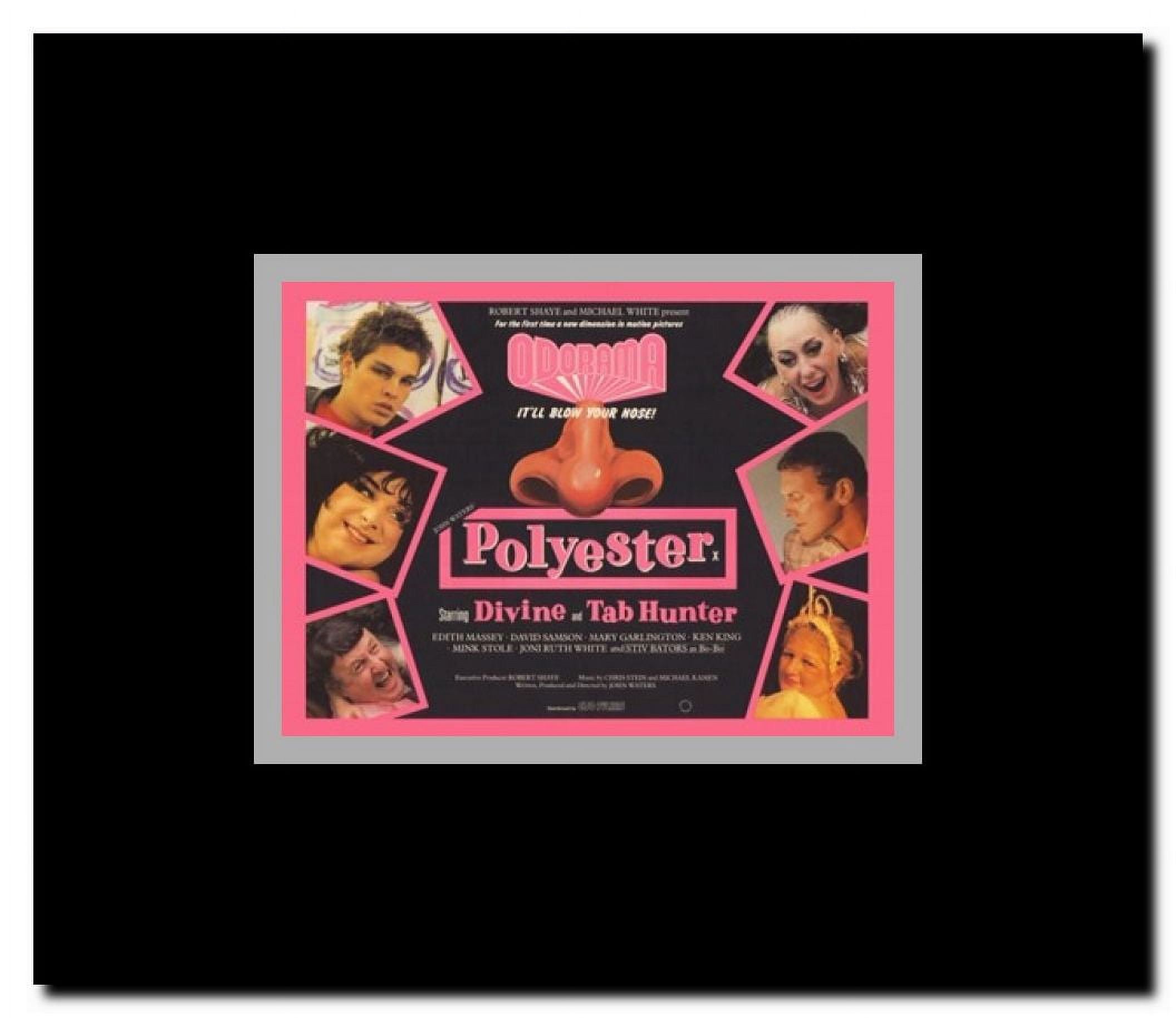 Polyester Framed Movie Poster