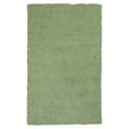 thumbnail image 1 of Polyester Spearmint Green Area Rug - 5 x 7 ft., 1 of 1