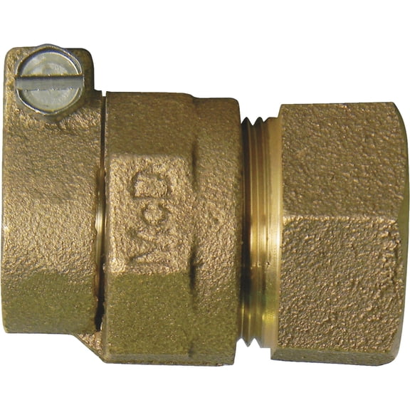 A.Y. McDonald Polyethylene Pipe Fitting Connector - Brass - 1" CTS x 1" FIPT  Residential Use, Standard Application