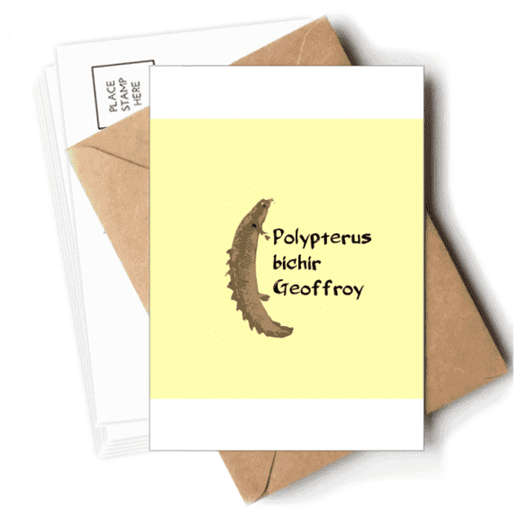 Polyfin Fish Pritive Freshwater Postcards Envelopes Blank Note Cards Mailing