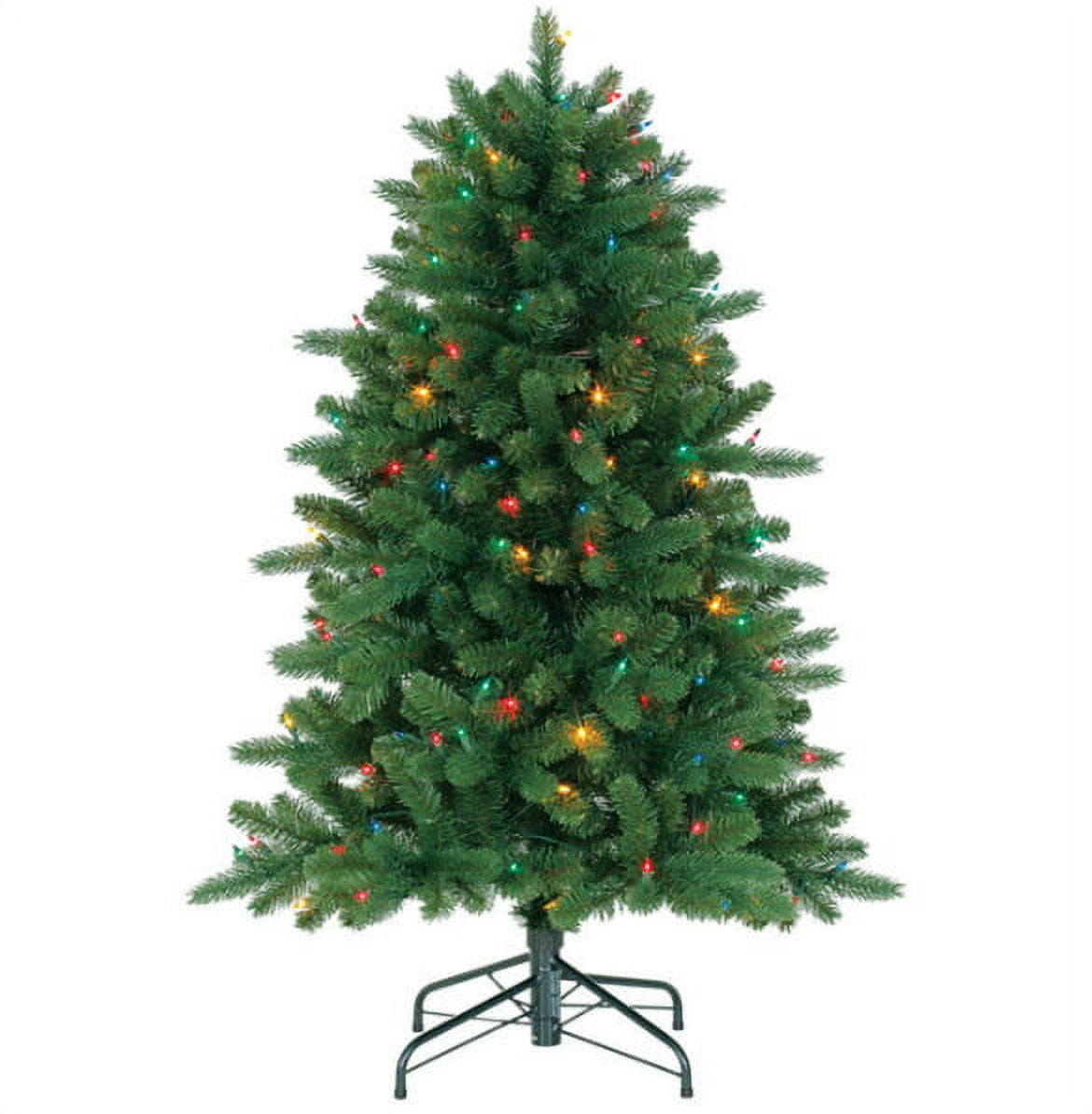 Polygroup ACE15034B Grand Fir Lighted Christmas Trees, 4