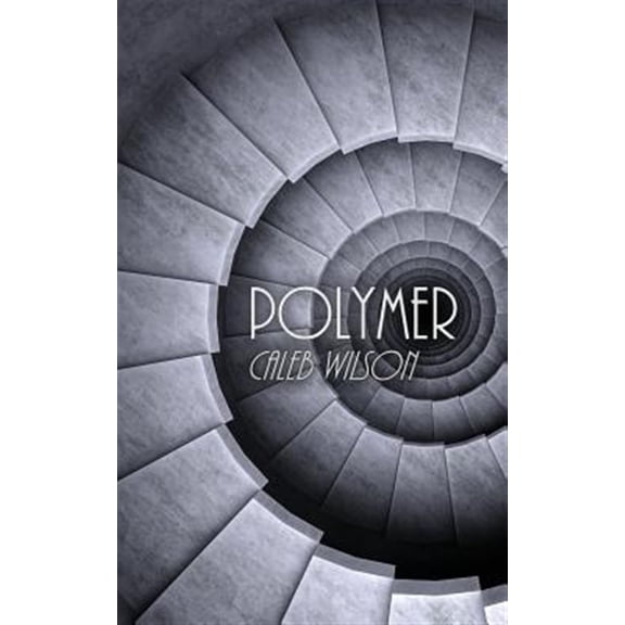 Polymer (Paperback)