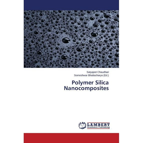 Polymer Silica Nanocomposites (Paperback)