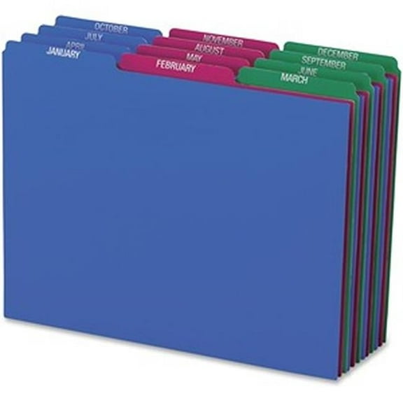 Polypropylene Month Letter Guide Set, Assorted Color - Pack of 12