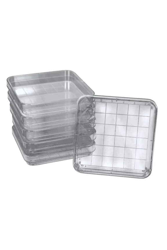 Carolina Polystyrene Square Integrid Petri Dish Durable and Clear Design | Sterile, Ventilated Lids | Ideal for Laboratory Use | Pack of 10
