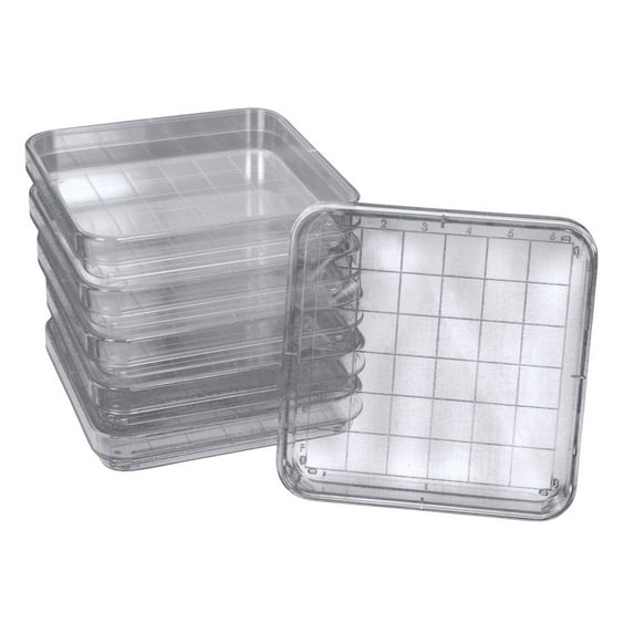 Carolina Polystyrene Square Integrid Petri Dish – Durable And Clear Design | Sterile, Ventilated Lids | Ideal For Laboratory Use | Pack Of 10