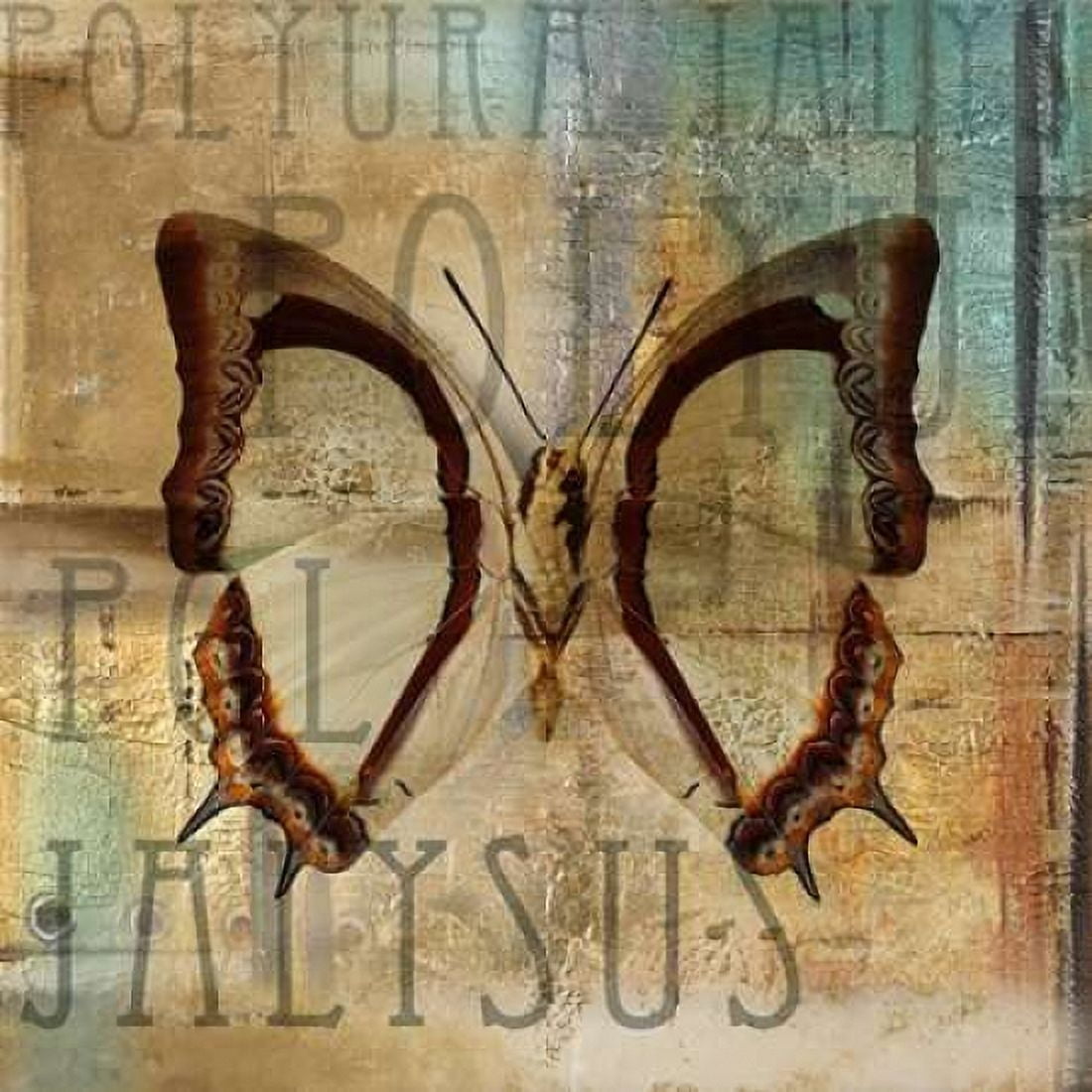Polyurabutterfly II Canvas Art - Patricia Pinto (24 x 24)